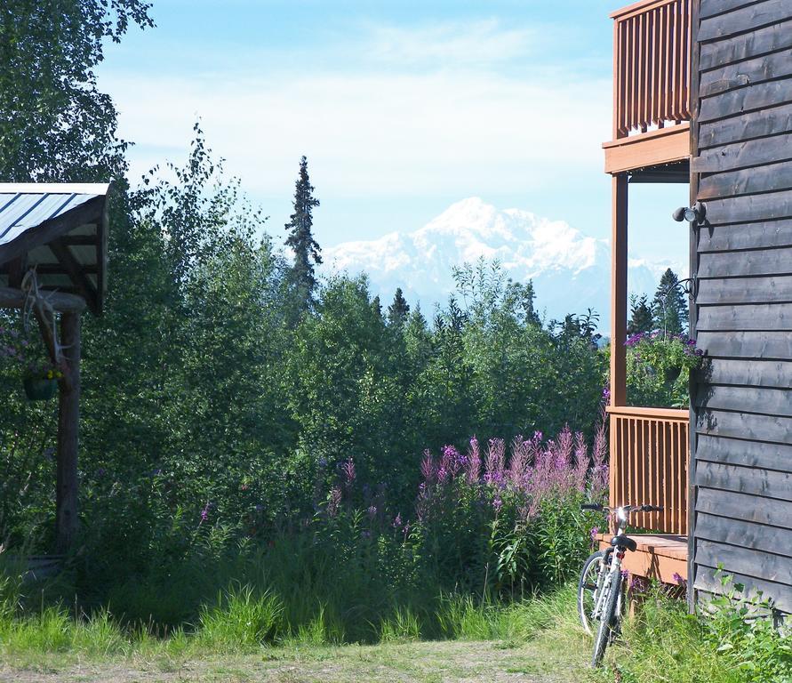 Grace And Bill'S Freedom Hills B&B Talkeetna Extérieur photo