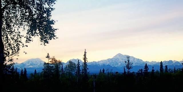 Grace And Bill'S Freedom Hills B&B Talkeetna Extérieur photo