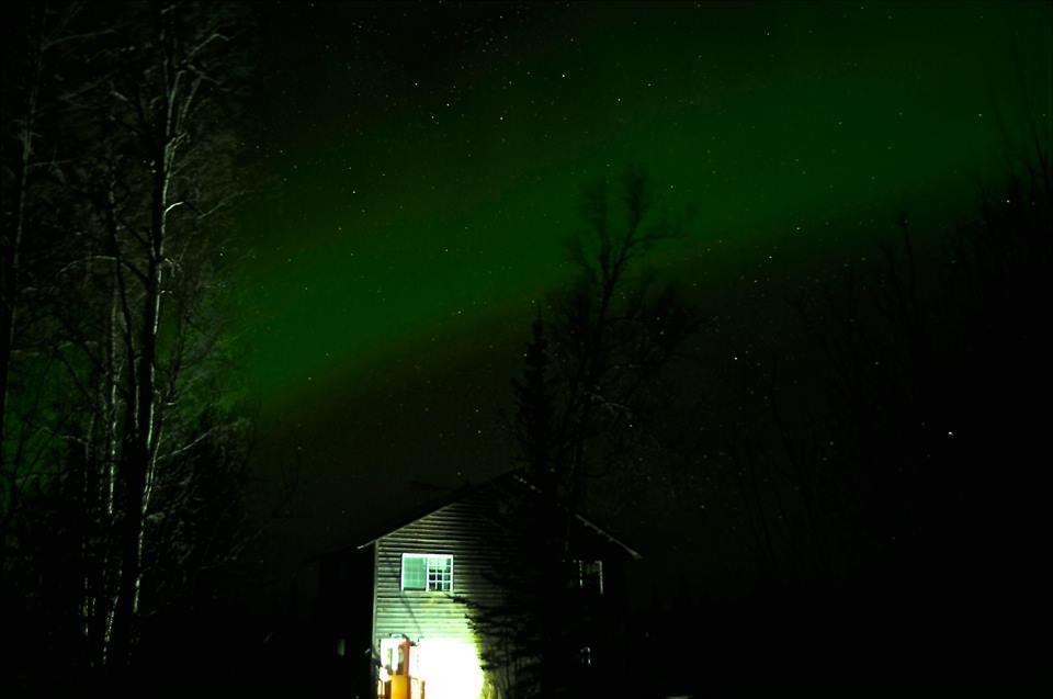Grace And Bill'S Freedom Hills B&B Talkeetna Extérieur photo