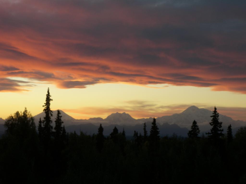 Grace And Bill'S Freedom Hills B&B Talkeetna Extérieur photo