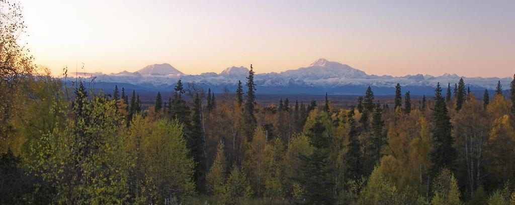 Grace And Bill'S Freedom Hills B&B Talkeetna Extérieur photo