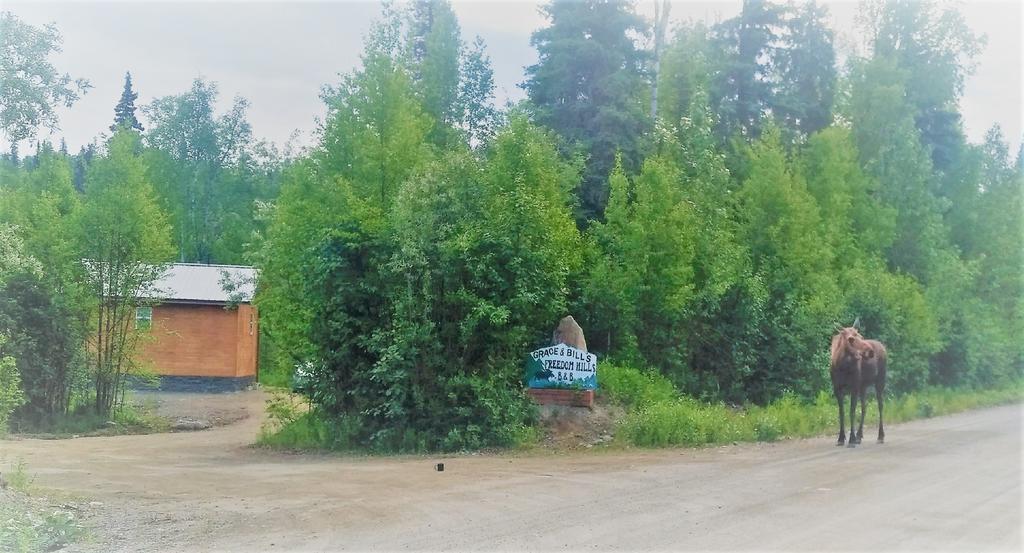Grace And Bill'S Freedom Hills B&B Talkeetna Extérieur photo